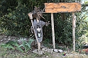 VBS_3225 - Mango (Cuneo) - Gnomovia